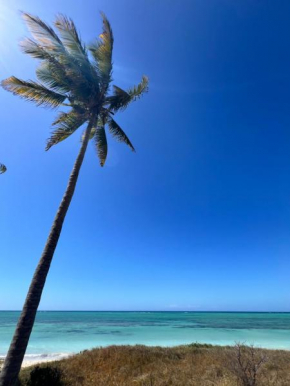 Chuiba Palms